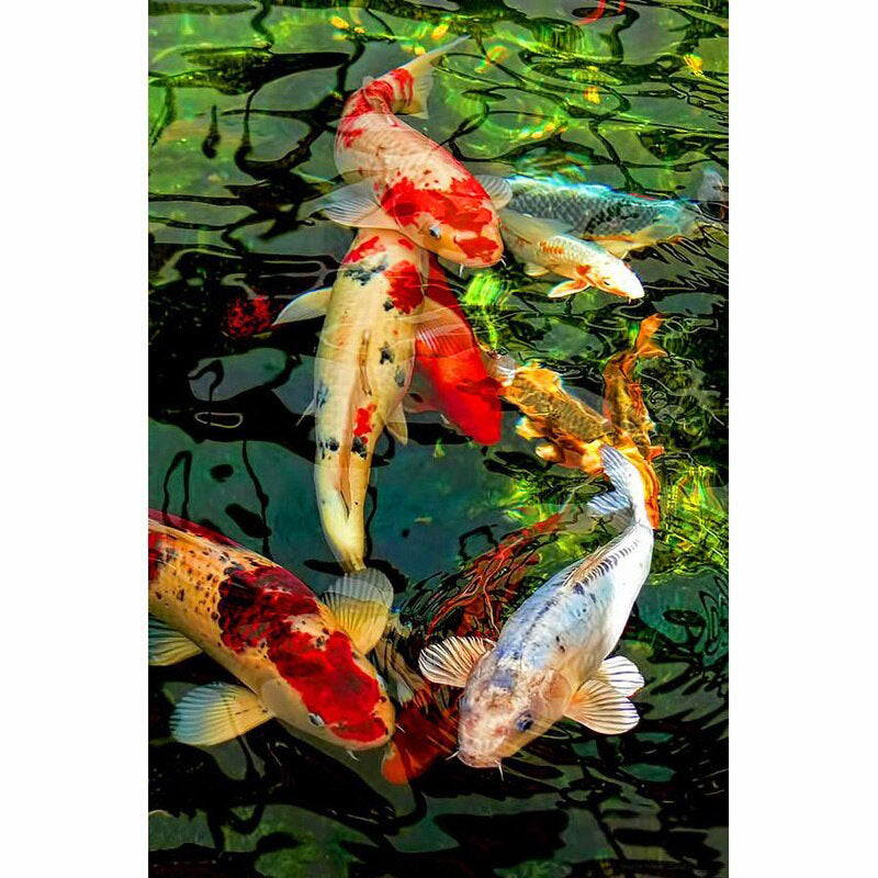 Diamond Painting Koi Fishes