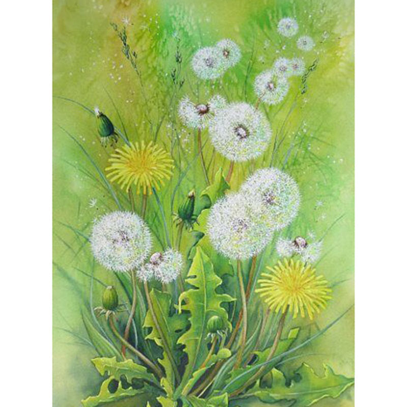 Diamond Painting Maskrosblommor