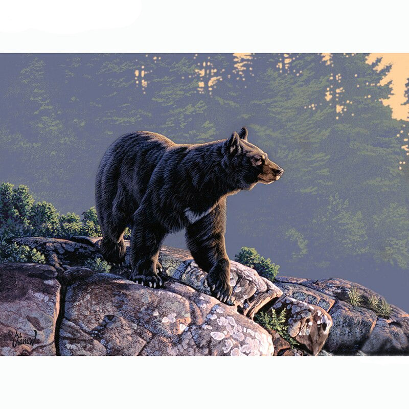 Diamond Painting Mountain Bear