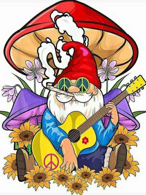 Diamond Painting Tomte Flower Power*