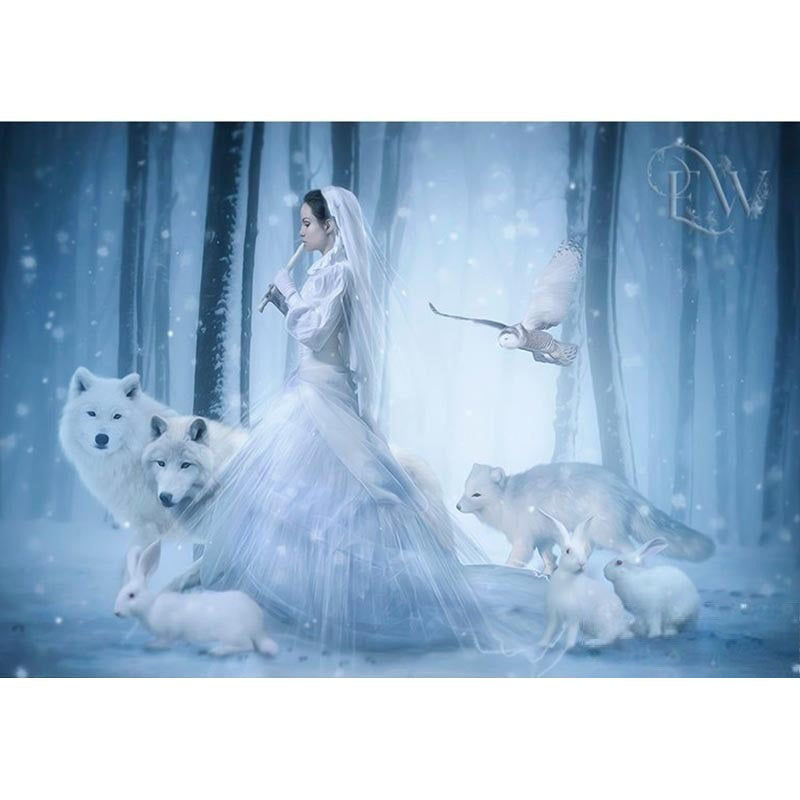 Diamond Painting Winter Princess