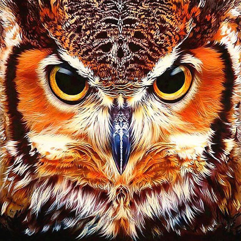 Diamond Painting Wise Owl