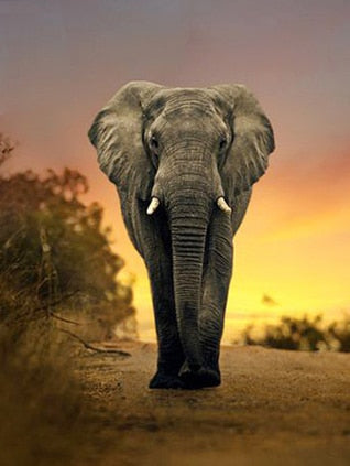 Diamond Painting Elephant Sunset