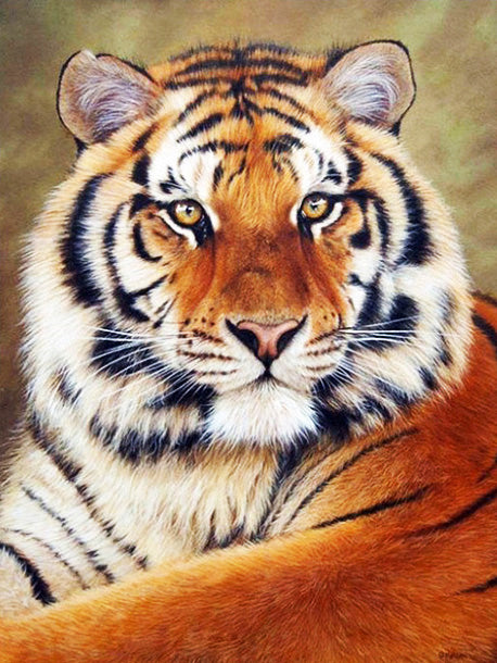 Diamond Painting Tiger