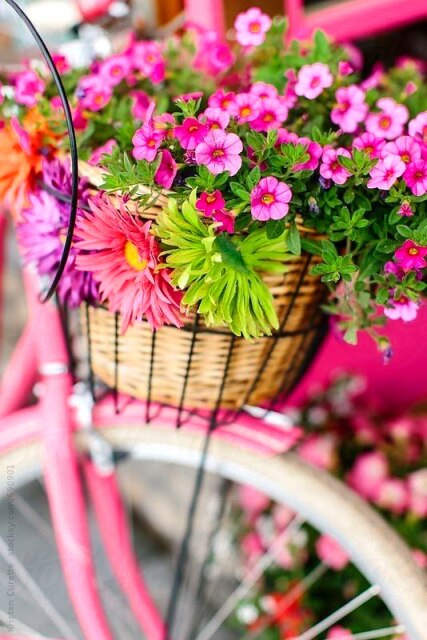 Diamond Painting Flower Bicycle