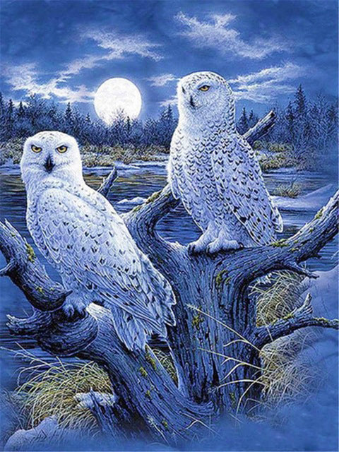 Diamond Painting Moonlight Owls