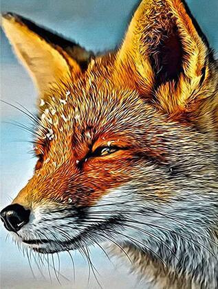 Diamond Painting Fox