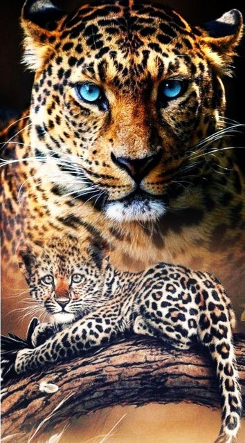 Diamond Painting Leoparder