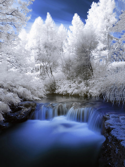 Diamond Painting Frozen Trees